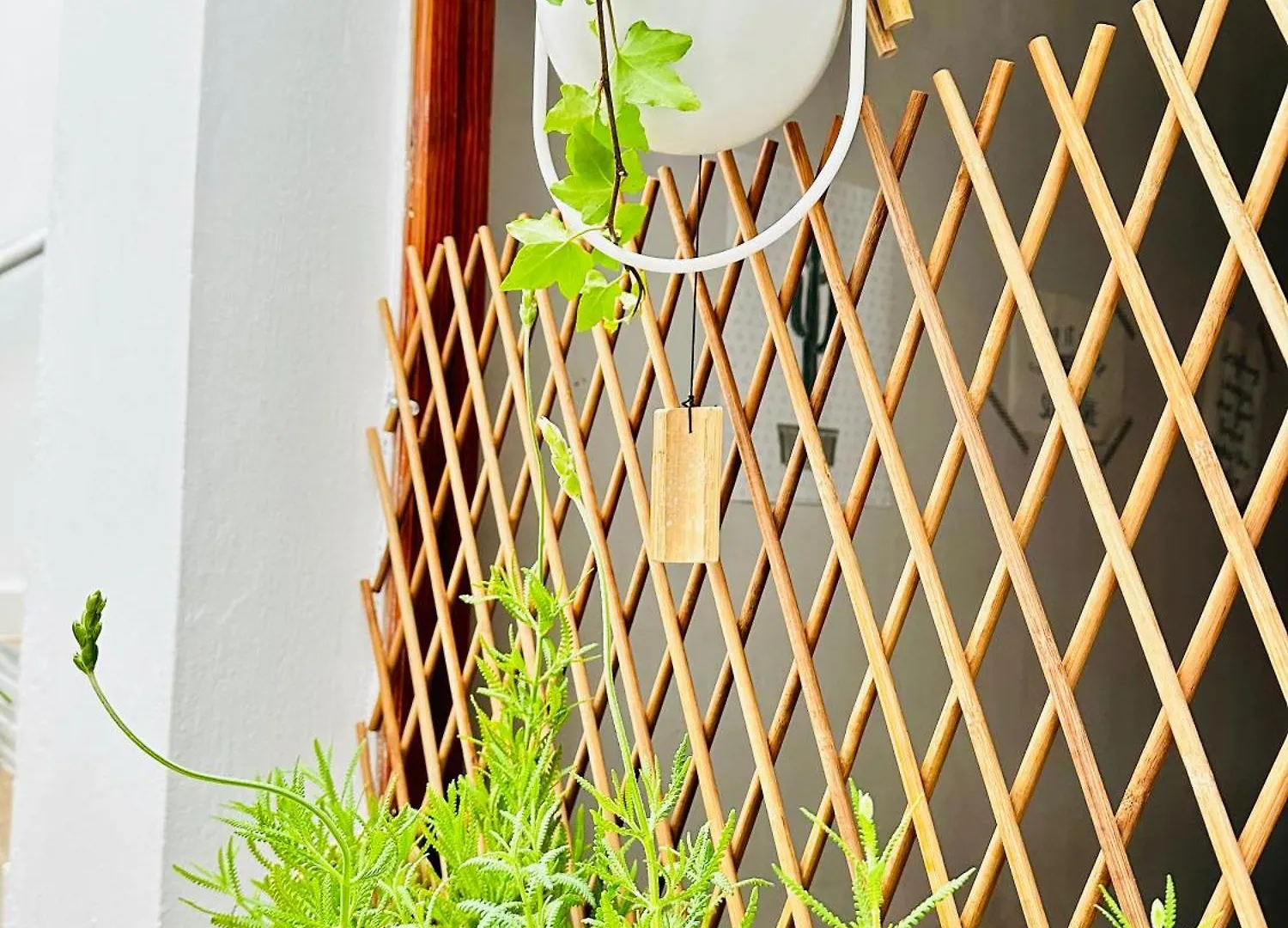Bed & Breakfast Guesthouse Ca'Artu Pozo Izquierdo